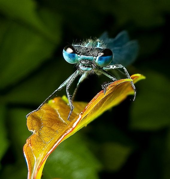 P1120664-Edit.jpg